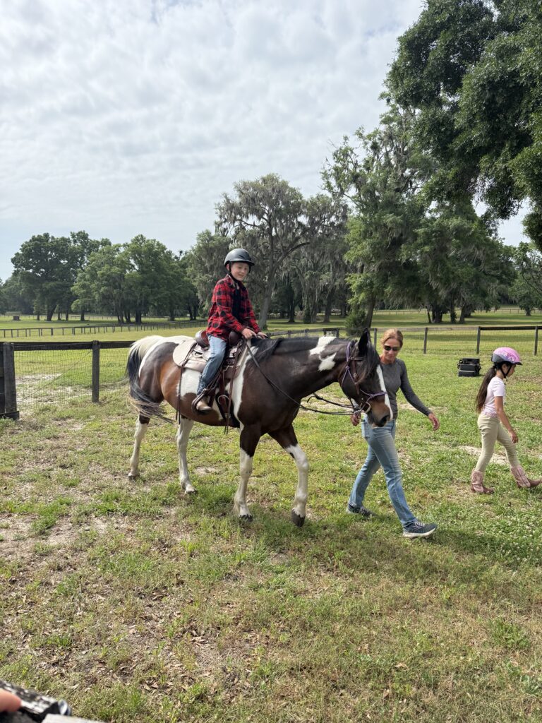 horse riding lessons